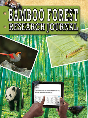 cover image of Bamboo Forest Research Journal